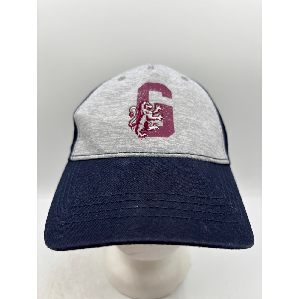 Harry Potter Gryffindor Hat Youth Strapback Adjustable Gray/Navy Cap OSFM